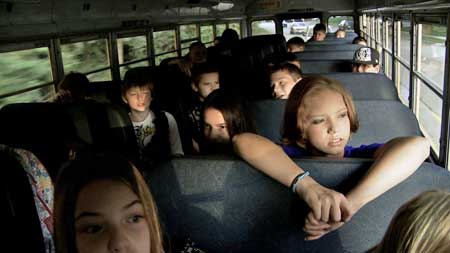 bully, harvey weinstein