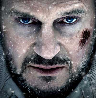 the grey, liam neeson, 