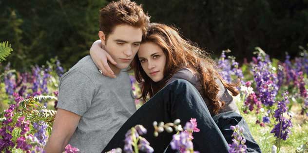 breaking dawn part 2, skyfall