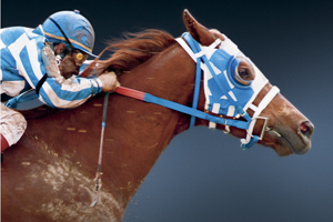 Secretariat