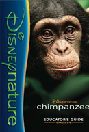 Chimpanzee