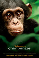 Chimpanzés