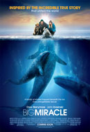 Big Miracle