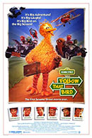 Follow That Bird - A Family Favourites Presentation