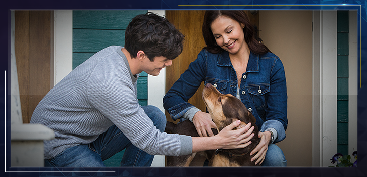 A Dog’s Way Home Social Contest