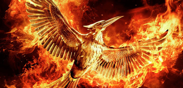 Mockingjay, photo