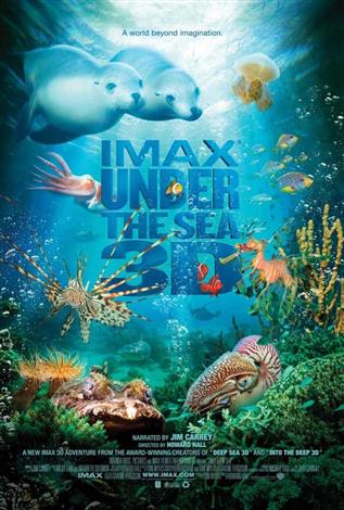 Under The Sea 3D