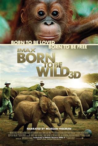 Born To Be Wild 3D