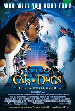 Cats & Dogs - A Family Favourites Presentation