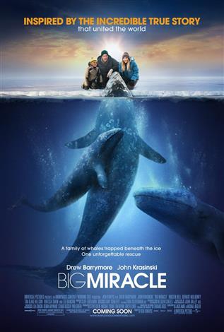 Big Miracle - A Family Favourites Presentation