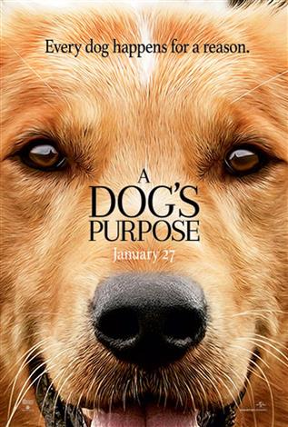 A Dog's Purpose