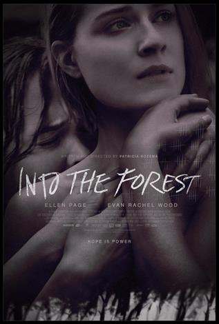 Dans la forêt