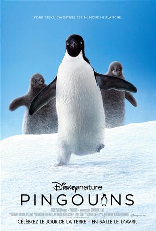 Pingouins