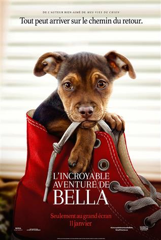 L'incroyable aventure de Bella - Les films en famille