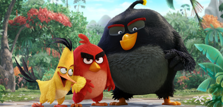 angry birds, image